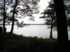 Photo Number 7