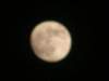 Photo Number 5