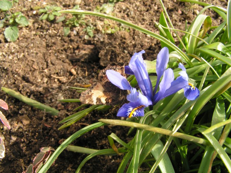 Photograph