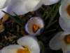 Photo Number 8