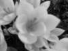 Photo Number 7