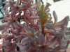 Photo Number 4